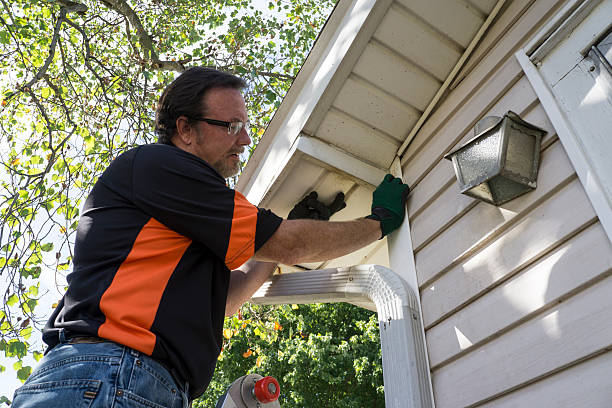 Best Brick Veneer Siding  in Mamou, LA